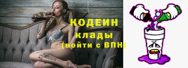 мяу мяу мука Аркадак