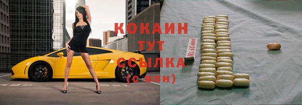 мяу мяу мука Аркадак
