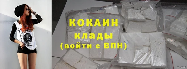 мяу мяу мука Аркадак