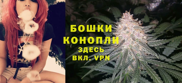 мет Арсеньев